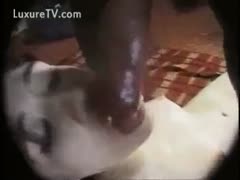 A white bitch takes a puppy in her facehole while wearing a pinhole camera.